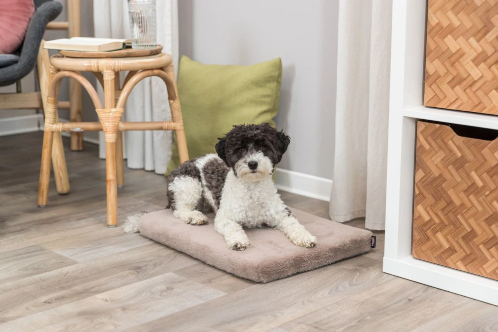 TRIXIE Ortopedická paměťová matrace LONNI, béžová 110 x 70 cm