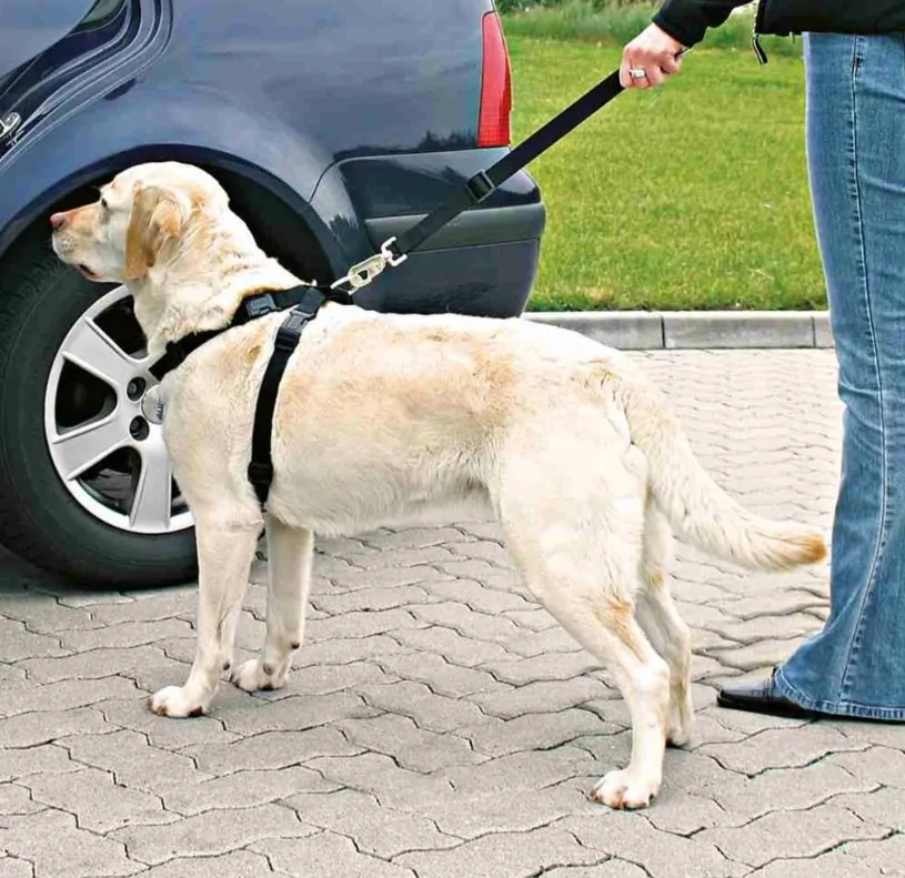 TRIXIE Postroj do auta pro psa L: 70-90 cm/25 cm, např. zlatý retrívr