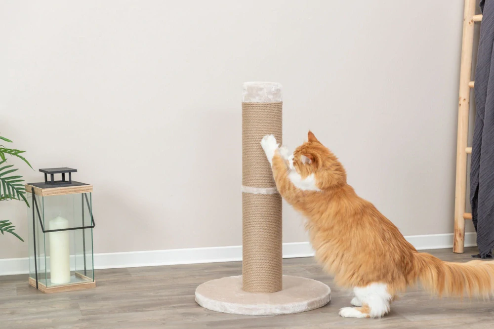 TRIXIE XXL škrábadlo RUE, ø 15 cm/80 cm, béžová