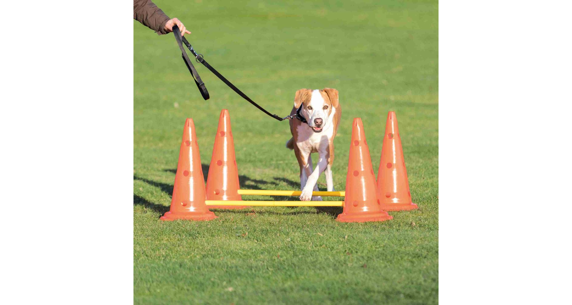 TRIXIE Dog Activity překážky (2 ks) 30x50 cm/100 cm oranž/žlutá