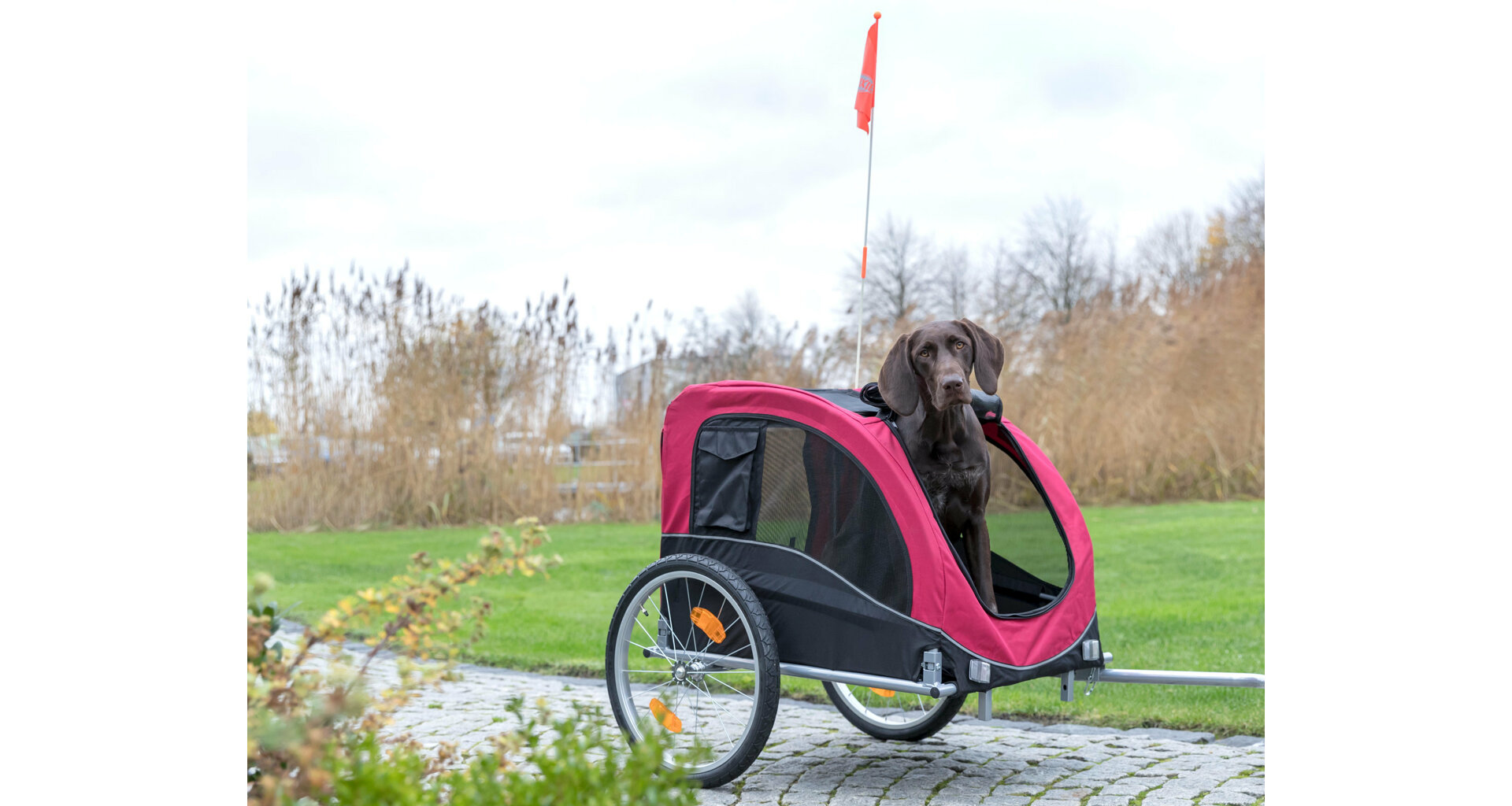 TRIXIE Vozík pro psa za jízdní kolo L 75 x 86 x 80/145 cm, nosnost max. 30 kg