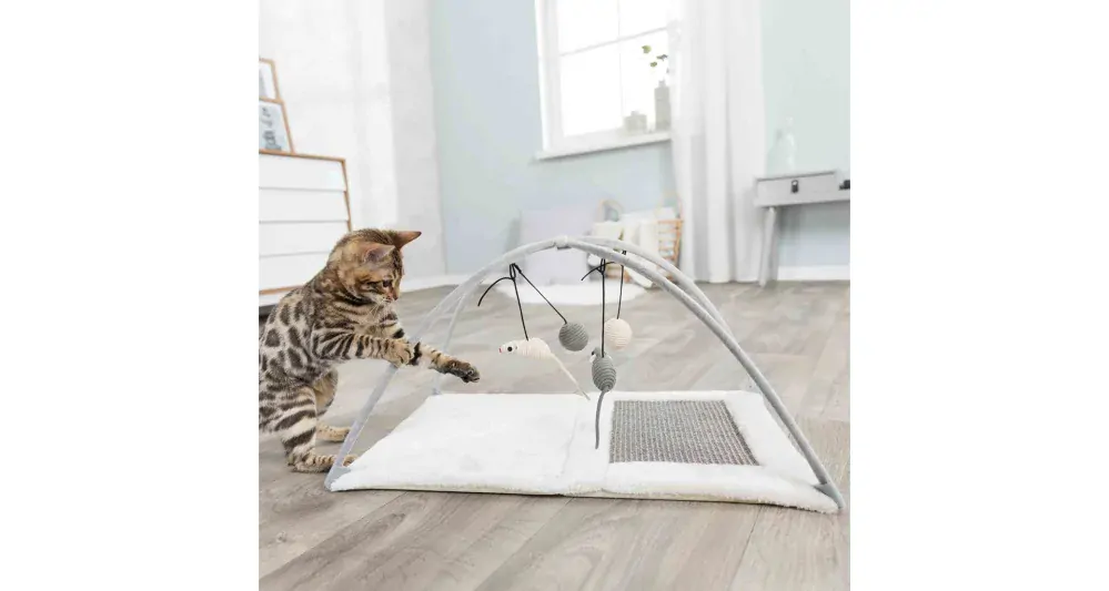 TRIXIE Hřiště, škrabací podložka s hračkou na pružině 60x33x42cm