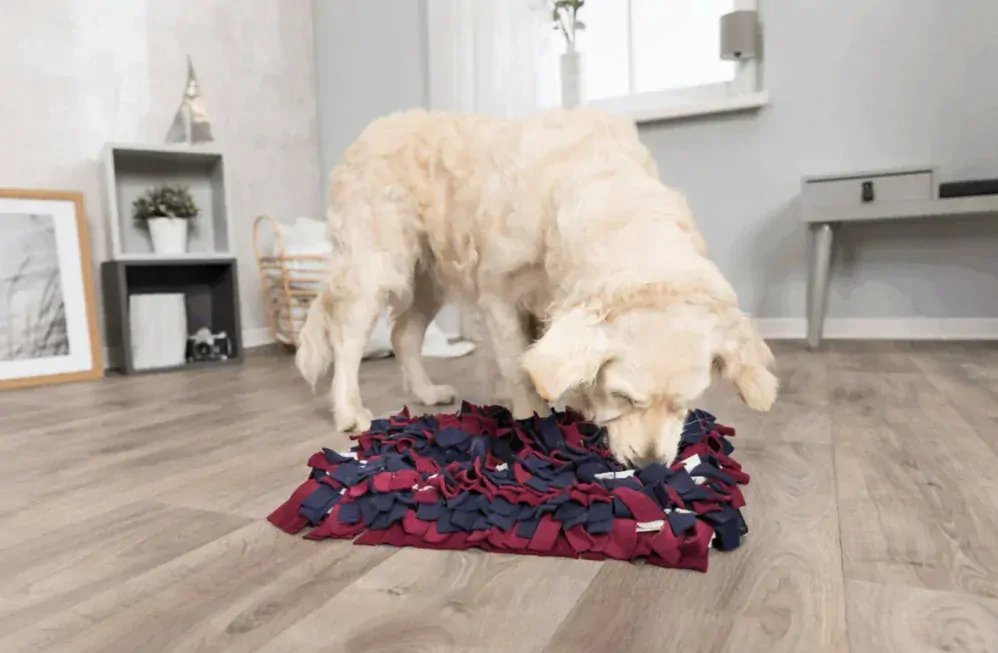 TRIXIE Dog Activity SNIFFING CARPET čichací koberec 50 x 34 cm