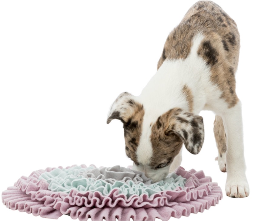 TRIXIE JUNIOR Dog Activity čichací koberec 38 cm