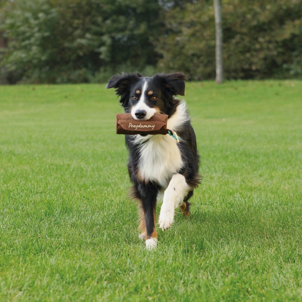 TRIXIE Preydummy, ø 7 × 18 cm, hnědá