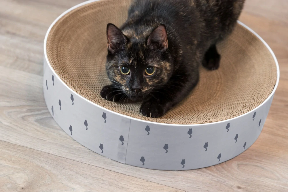 LILLY kulatý škrabací pelech s katnipem, ø 45 × 10 cm, karton, lila