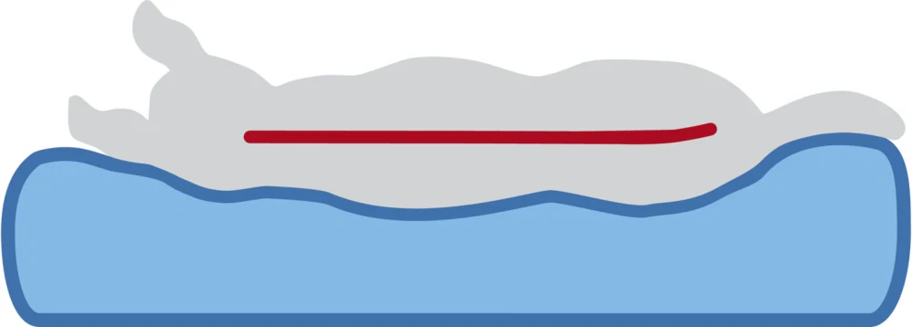 TRIXIE Ortopedická paměťová matrace LONNI, béžová 110 x 70 cm