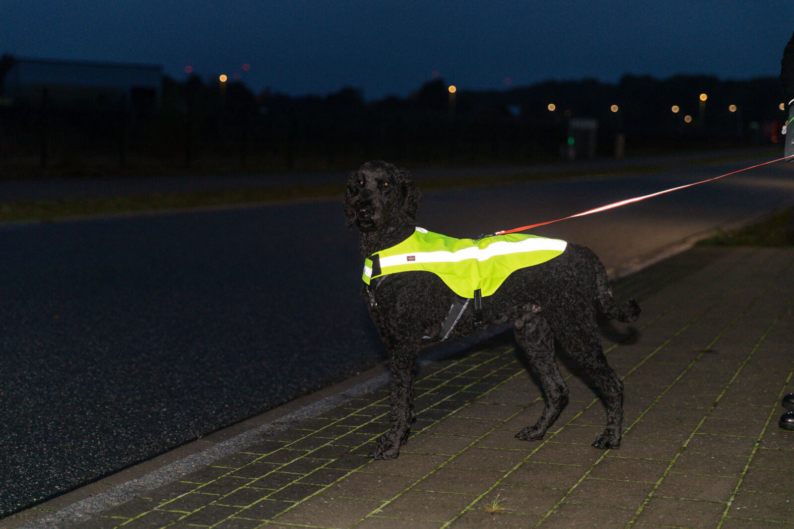 TRIXIE Bezpečnostní vesta, reflexní, neon žlutá XS-30cm,hruď:38-54cm