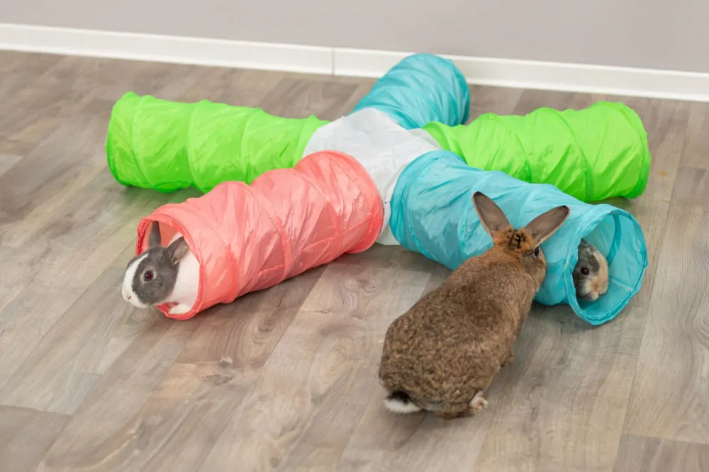 TRIXIE Hrací tunel HVĚZDA pro králíčky, morčata, 5 × ø 18 cm/47 cm, 6 východů, polyester