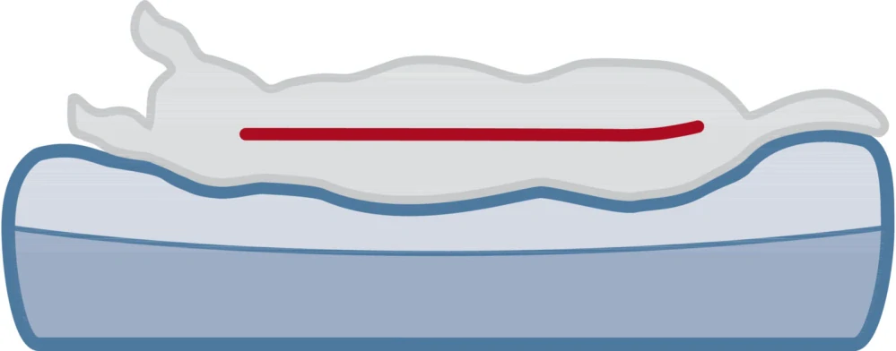 TRIXIE Vital Bed LINO, ortopedický obdélníkový pelech, béžová 90 x 65 cm