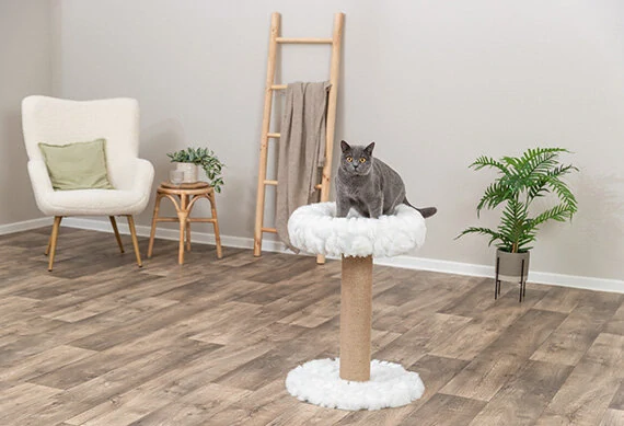 TRIXIE Škrabací sloupek MIRELLA 55 cm, polstrovaná platforma