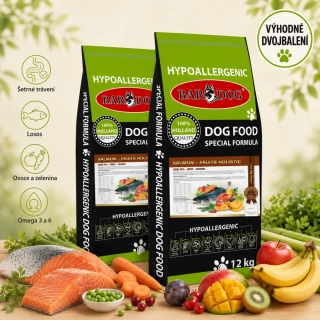 BARDOG SALMON FRUIT HOLISTIC 2 x 12 kg