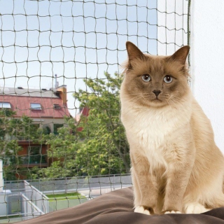 TRIXIE Ochranná síť pro kočky, tkaný drát, olivová 4x3m